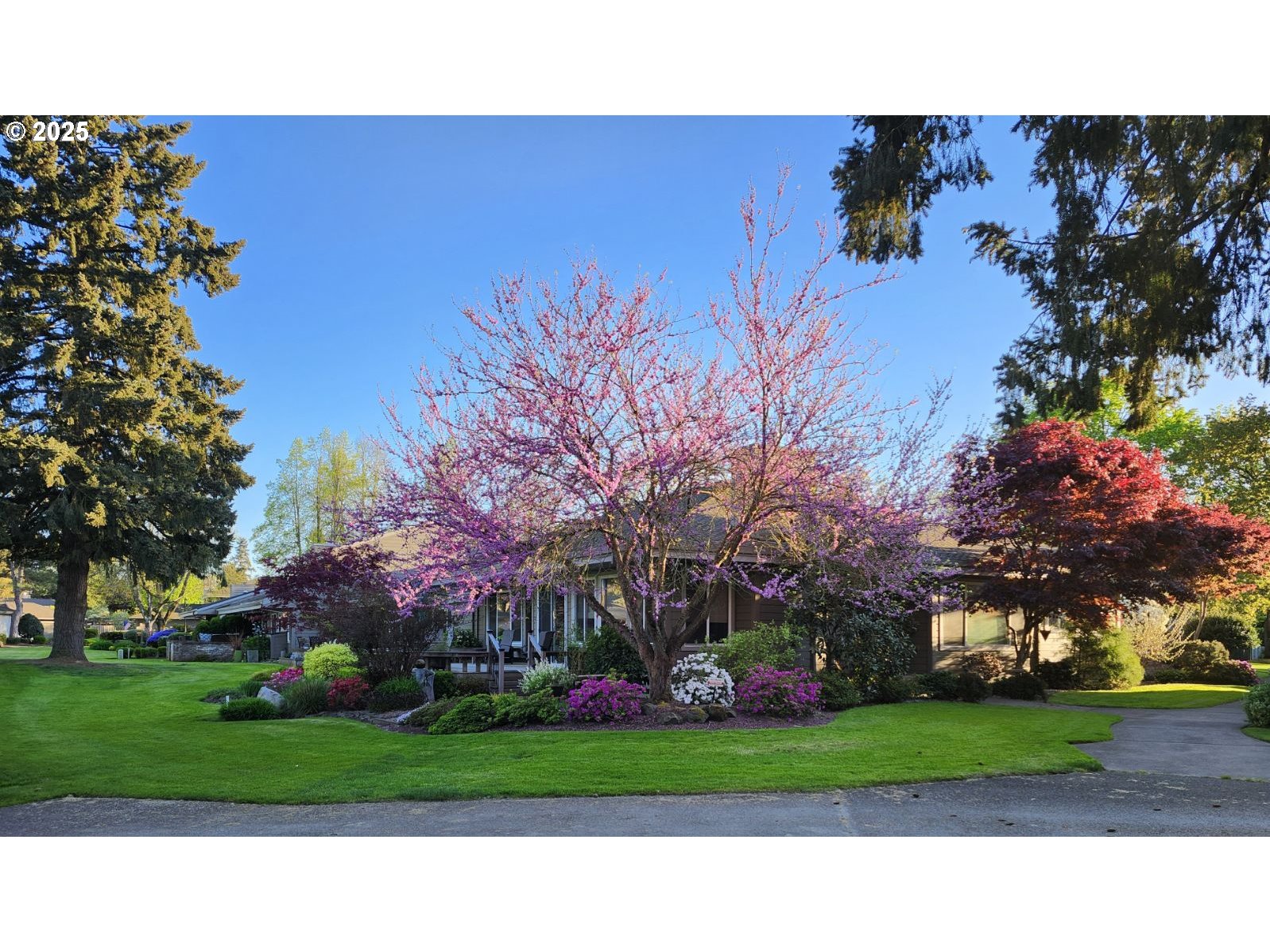 Image of house photo