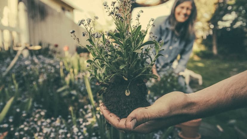 Green Thumb